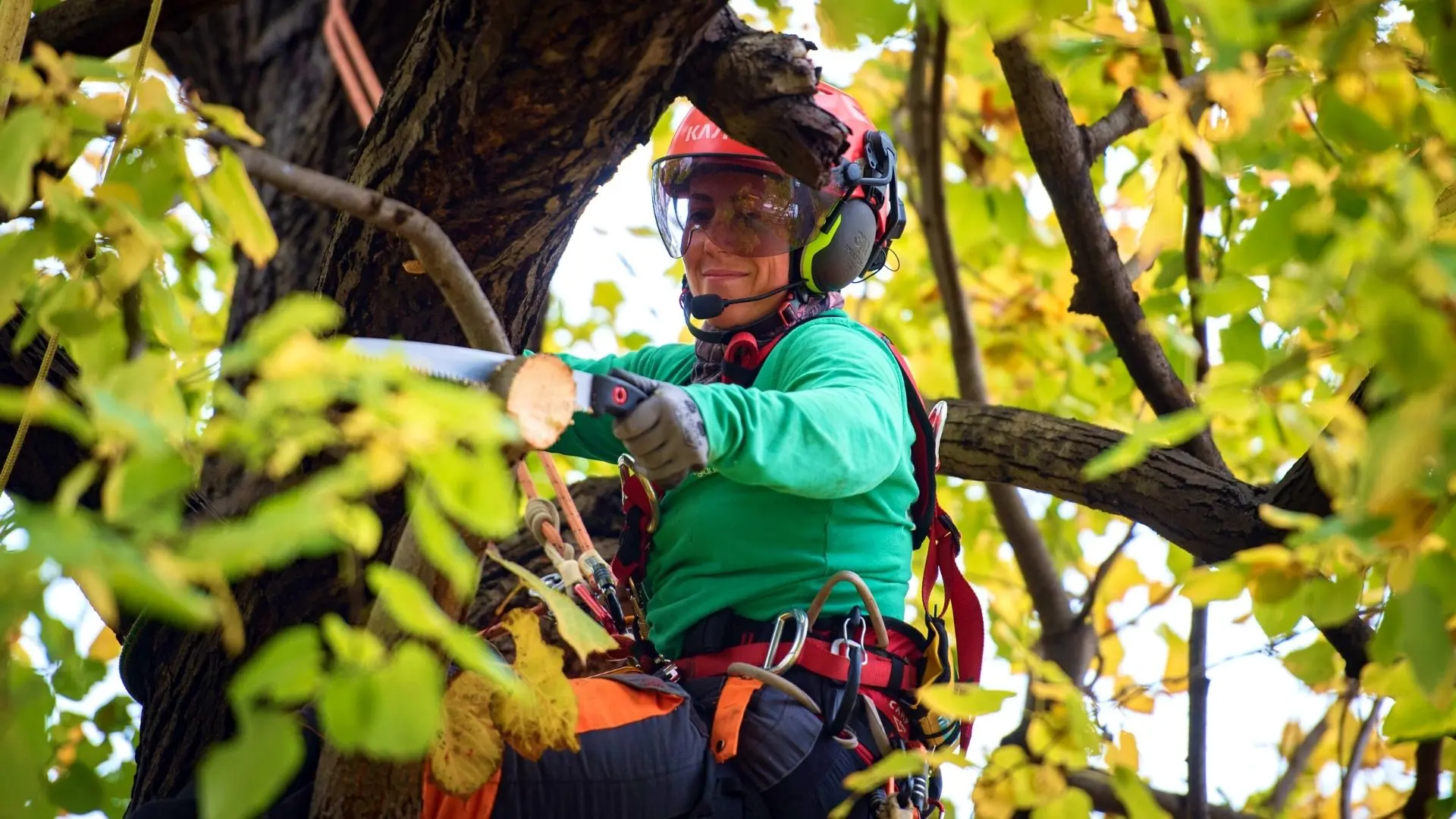 Paysagiste à Vertou – Léauté