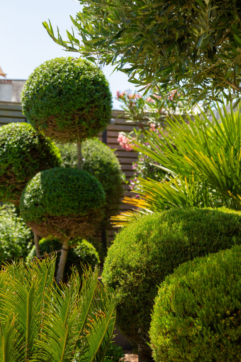 Rabattage et remise en forme