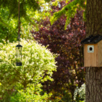 1-jardin-ecologique-nichoir-mangeoire-nantes-leaute-paysage