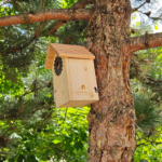4-nichoir-bois-jardin-ecologique-carquefou-leaute-paysage