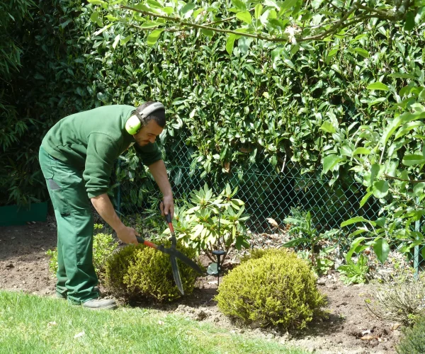 entretien jardin conception paysagiste jardin sur-mesure