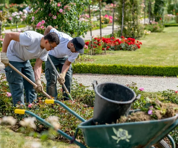 Paysagiste à Vertou – Léauté